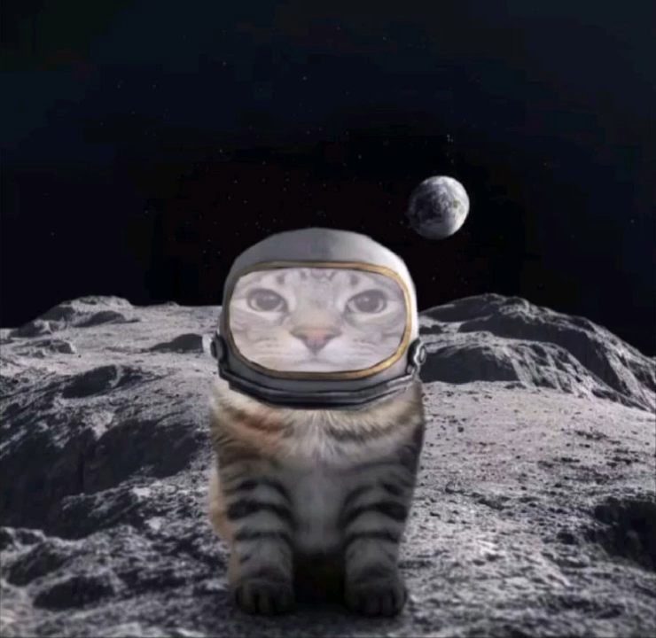 astronaut hamburger