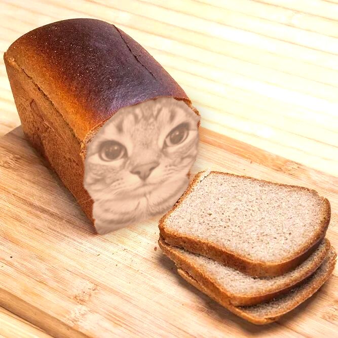 bread hamburger