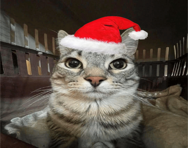christmas hamburger