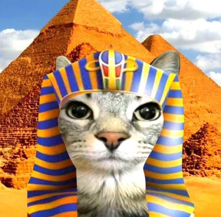 egypt hamburger