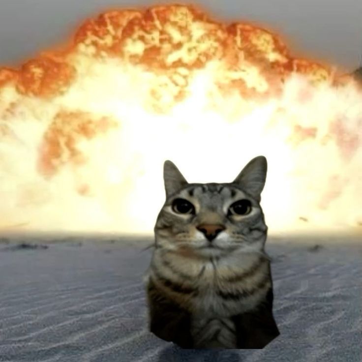 explosion hamburger