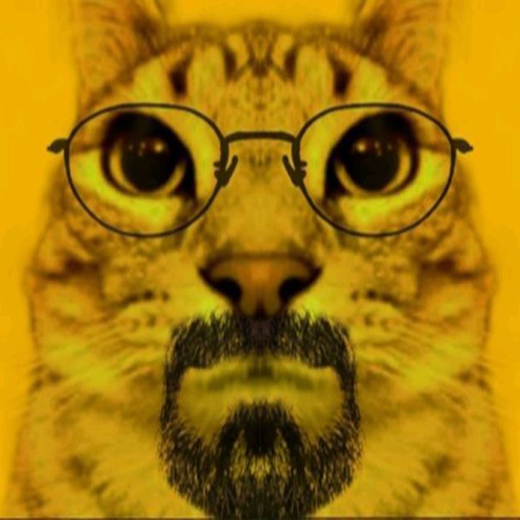 heisenberg hamburger