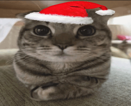 christmas hiding hamburger