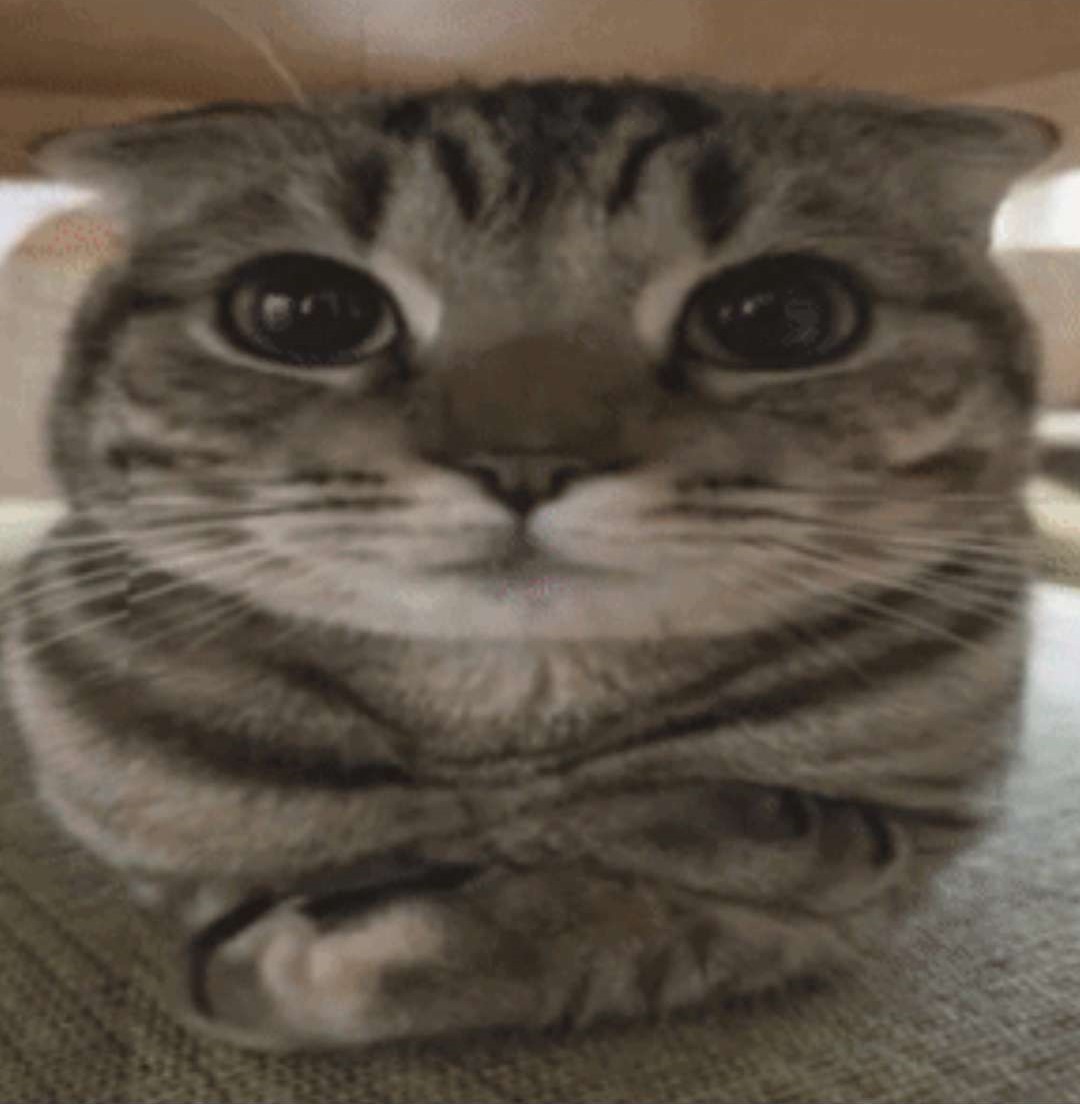 hiding hamburger