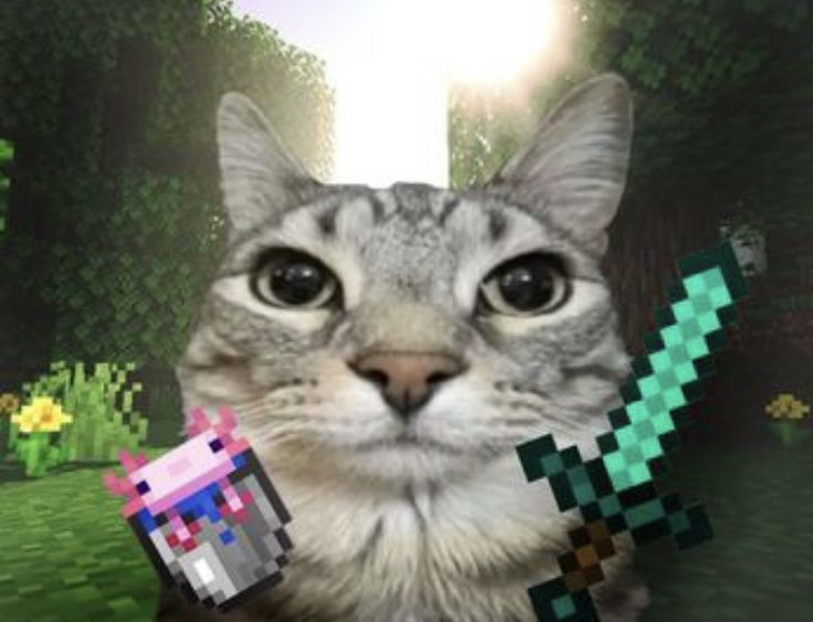 minecraft hamburger
