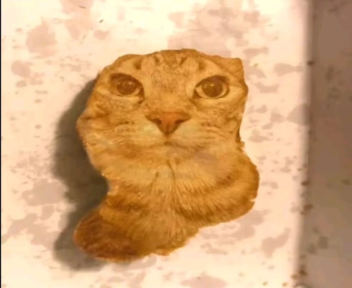 nugget hamburger