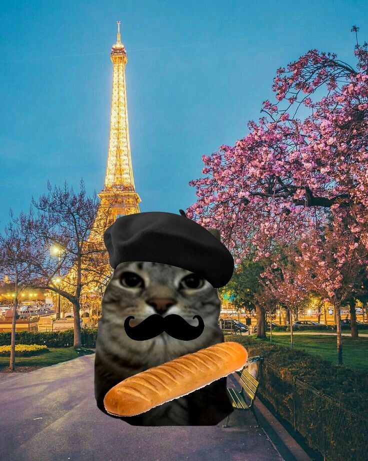 paris hamburger