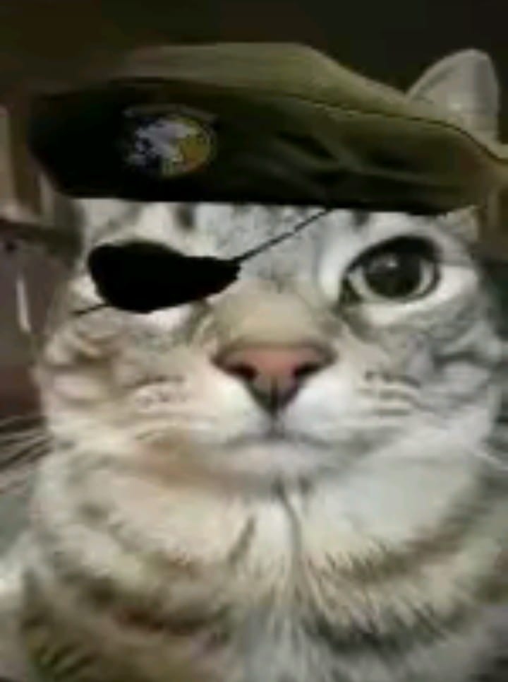 pirate hamburger