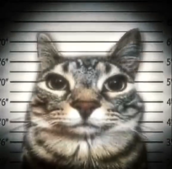 prisoner hamburger