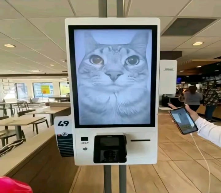 robot hamburger