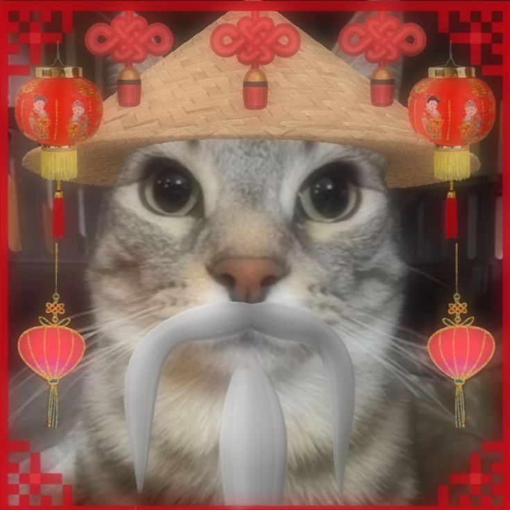 shifu hamburger