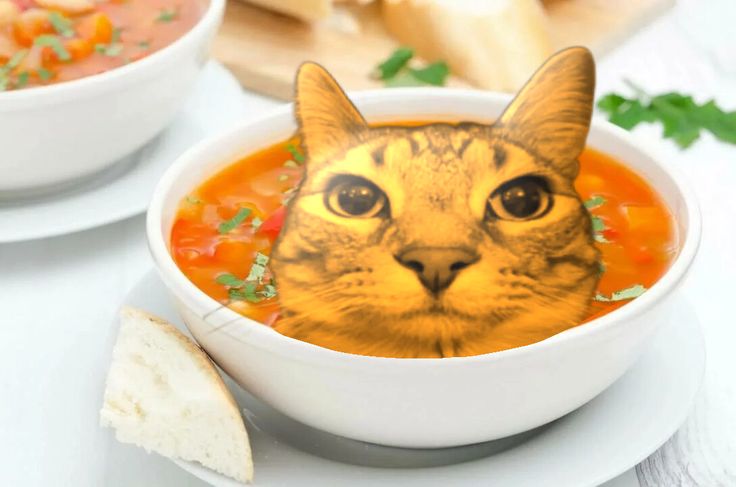 soup hamburger