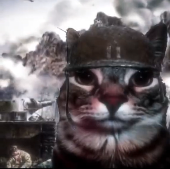 veteran hamburger 2