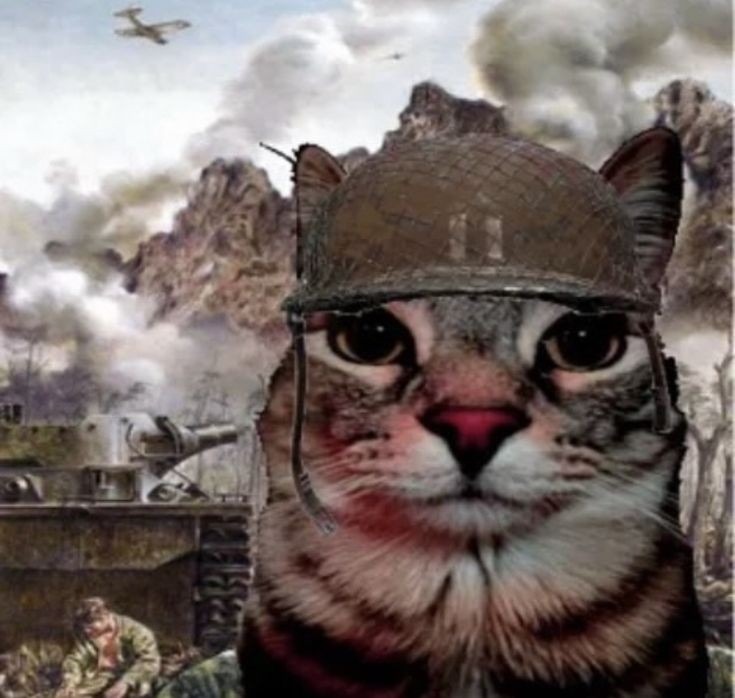 veteran hamburger