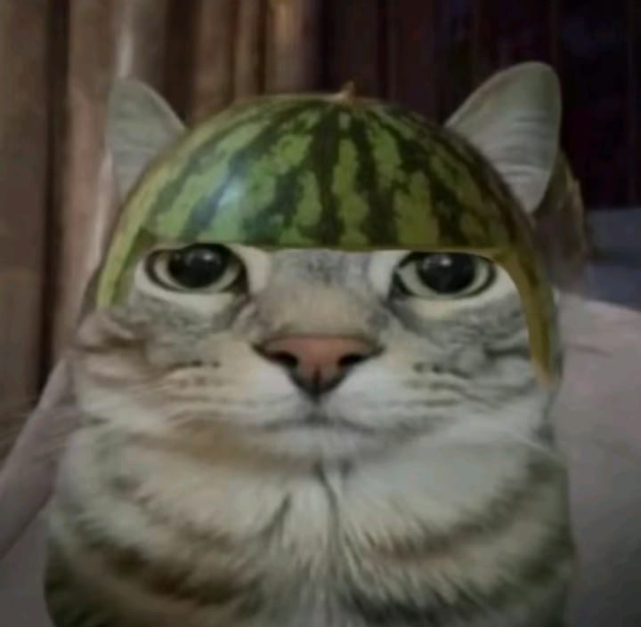 veteran watermelon hamburger
